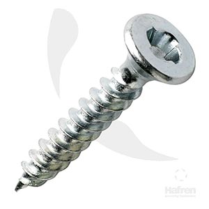 Sentinel one-way pozidrive fastener
